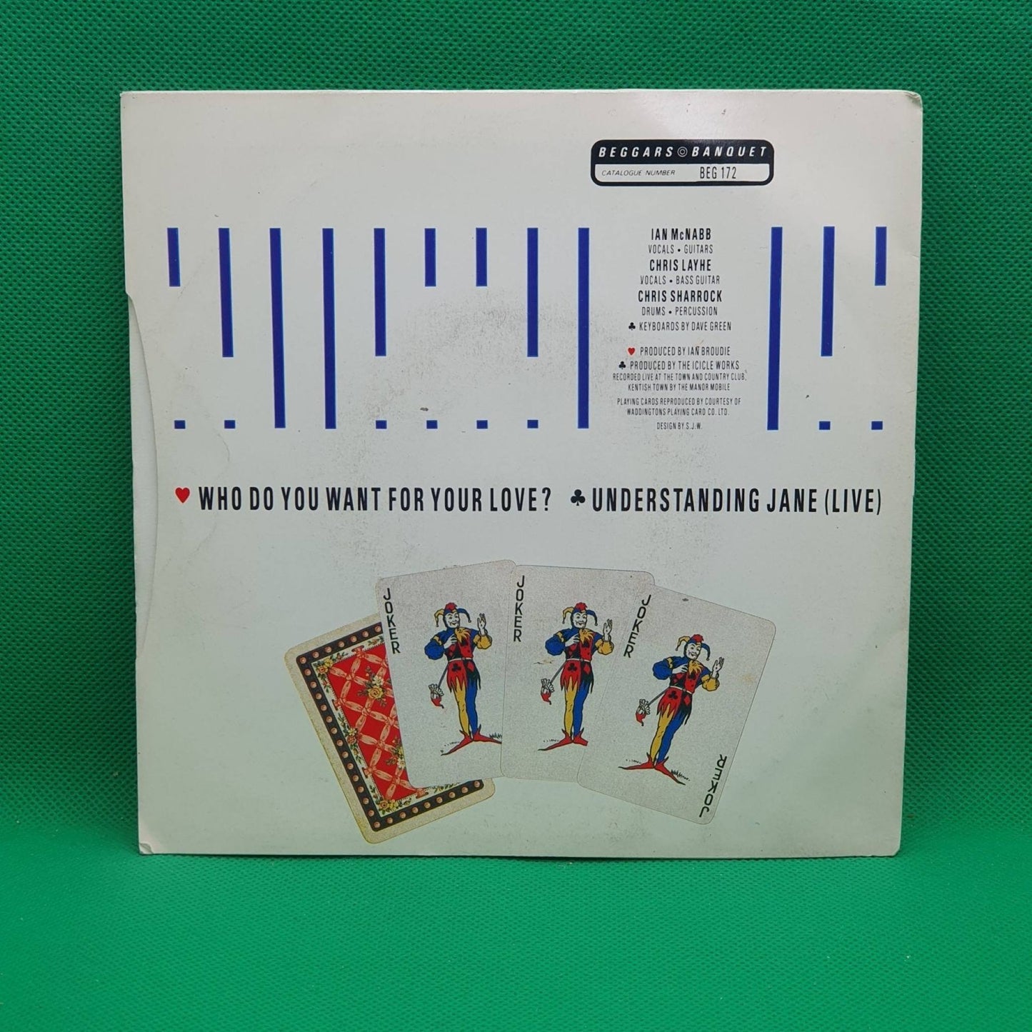 The Icicle Works ‎– Who Do You Want For Your Love? - Vinyl Store Online