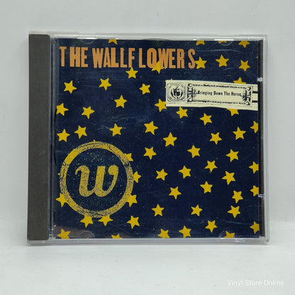 The Wallflowers ‎– Bringing Down The Horse - Vinyl Store Online