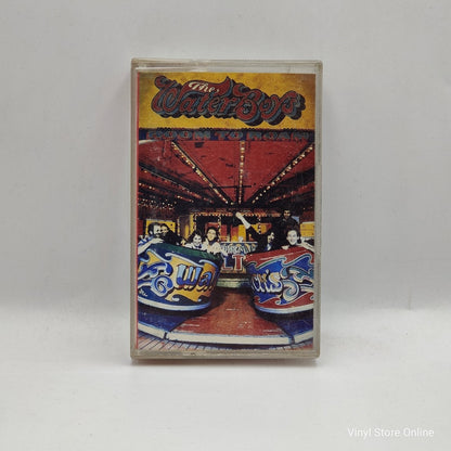 The Waterboys ‎– Room To Roam - Vinyl Store Online