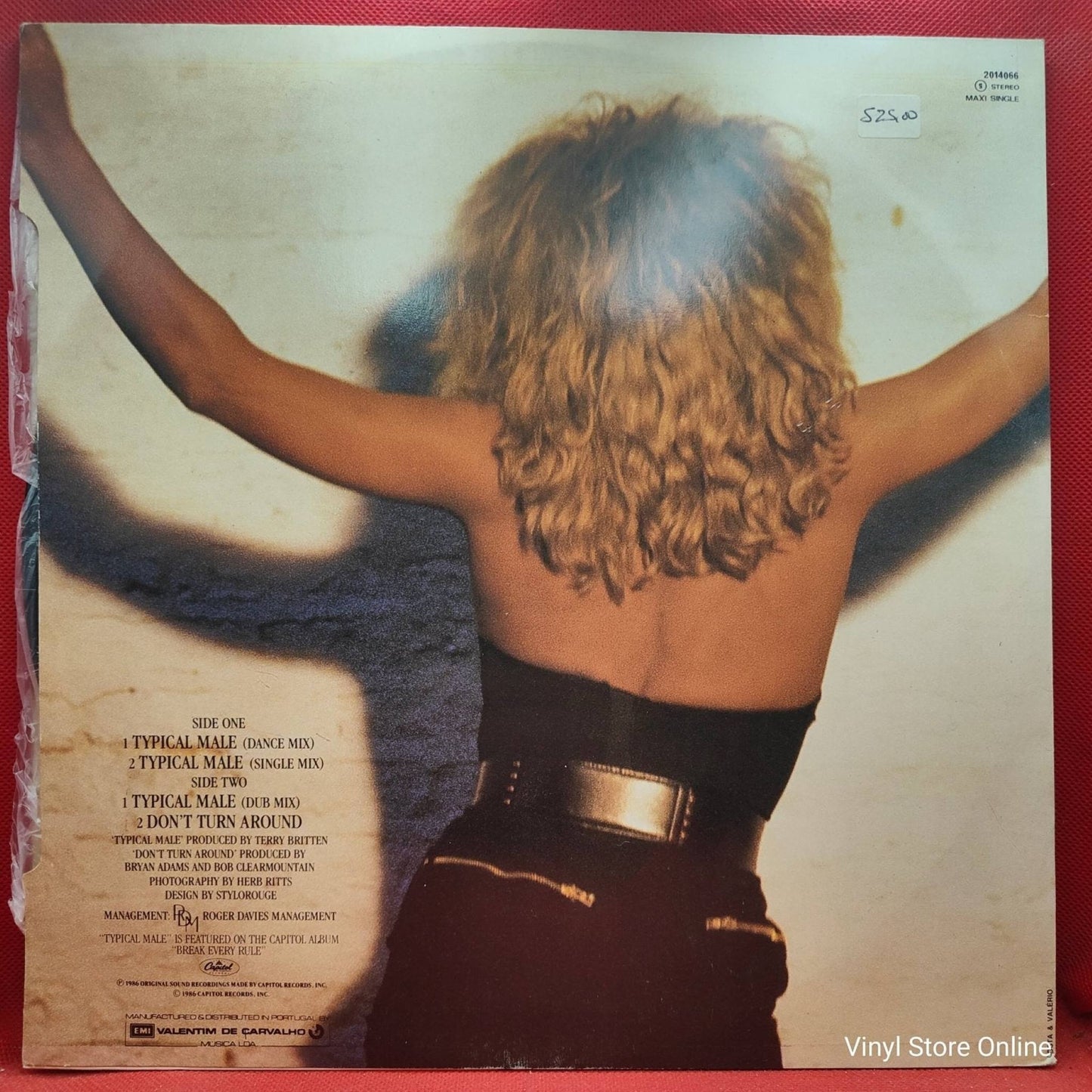 Tina Turner ‎– Typical Male - Vinyl Store Online