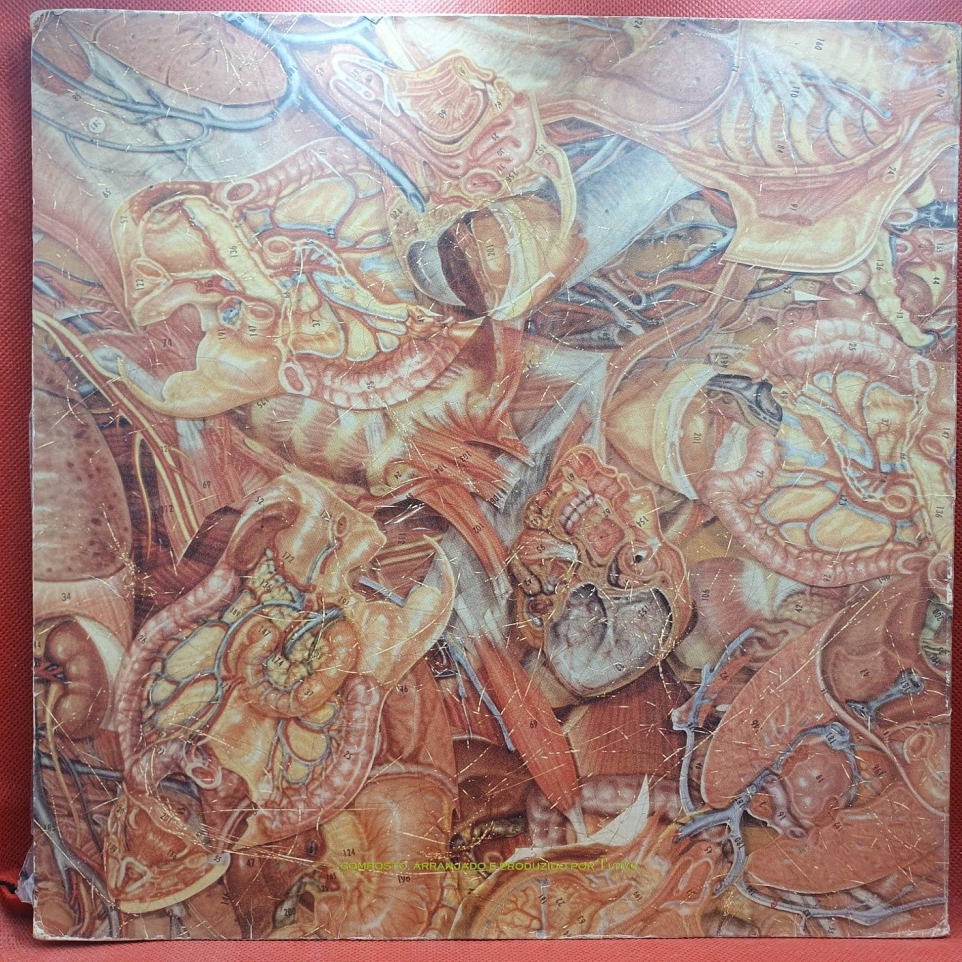 Titãs ‎– Tudo Ao Mesmo Tempo Agora - Vinyl Store Online