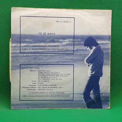 Tó Zé Brito ‎– Palha D'Aços - Vinyl Store Online
