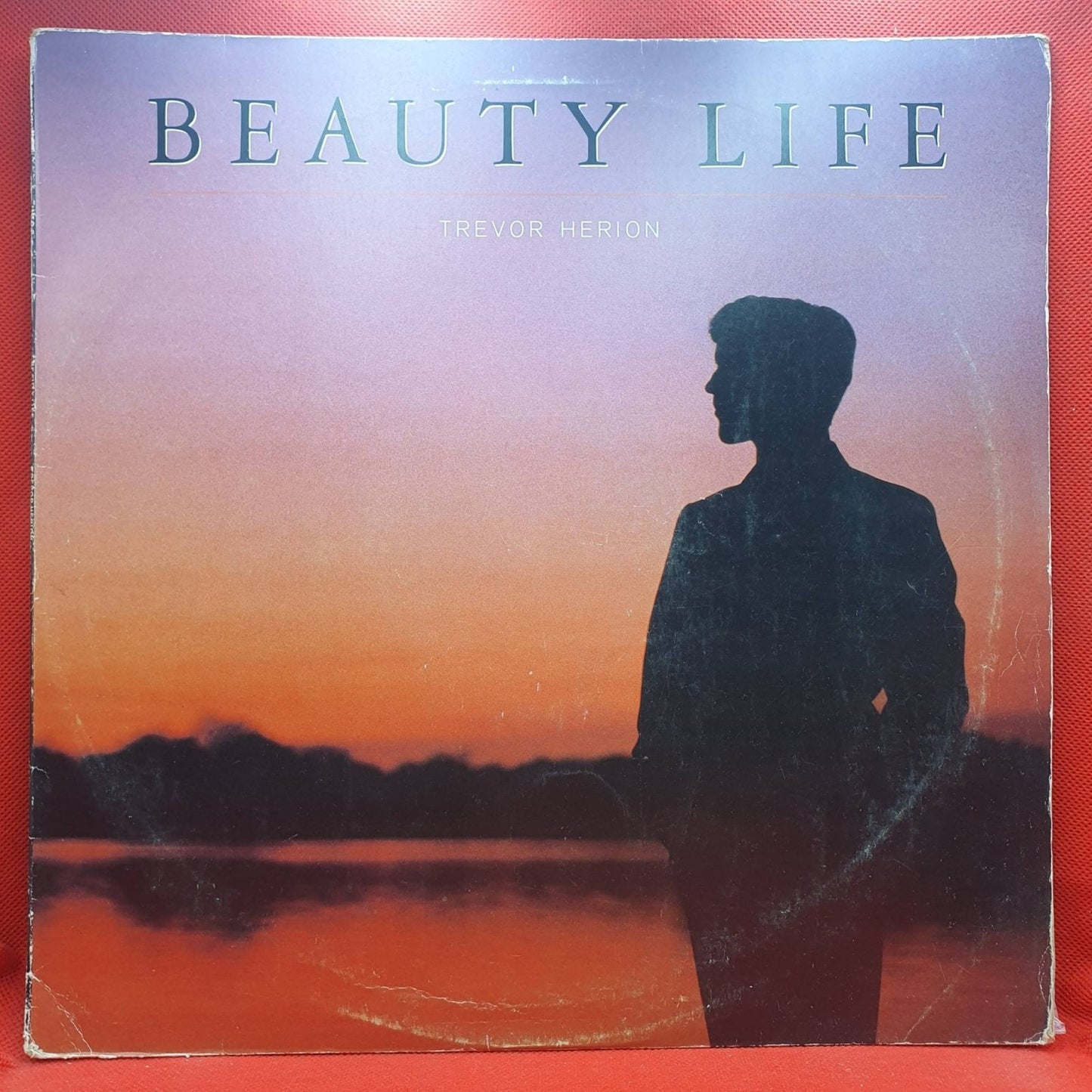 Trevor Herion ‎– Beauty Life - Vinyl Store Online