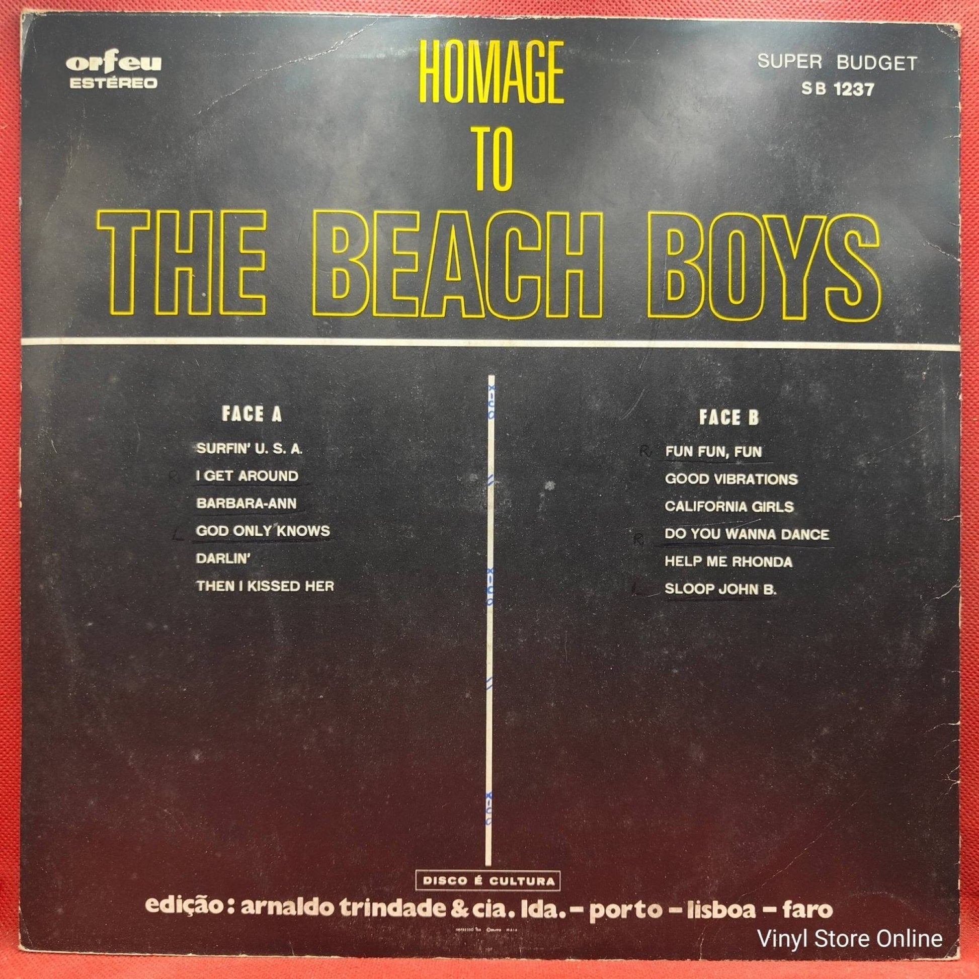 Unknown Artist ‎– Homage To The Beach Boys - Vinyl Store Online