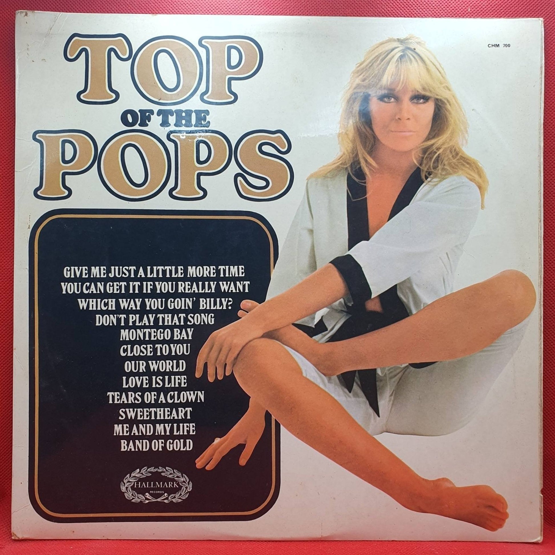 Unknown Artist ‎– Top Of The Pops Vol.13 - Vinyl Store Online