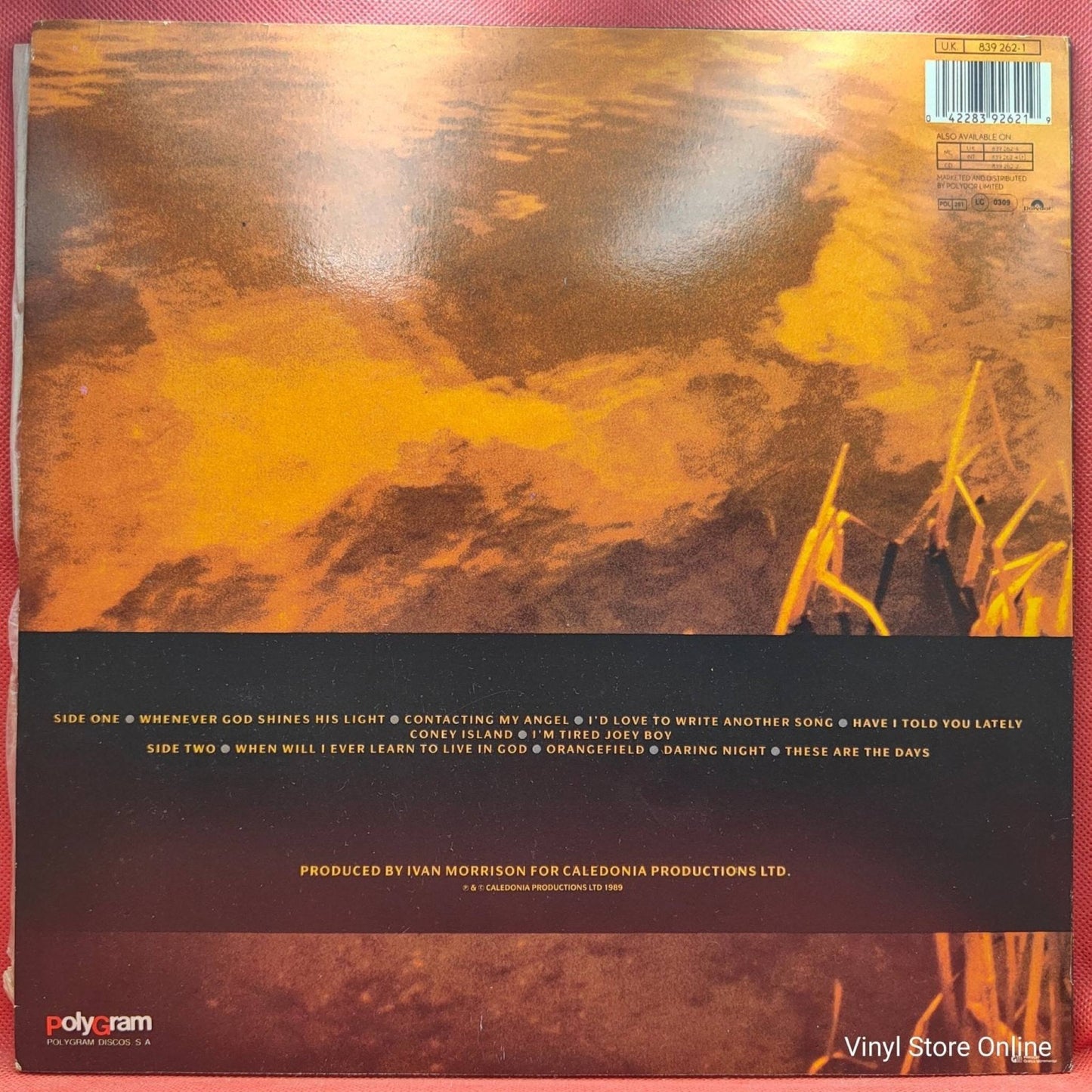 Van Morrison ‎– Avalon Sunset - Vinyl Store Online