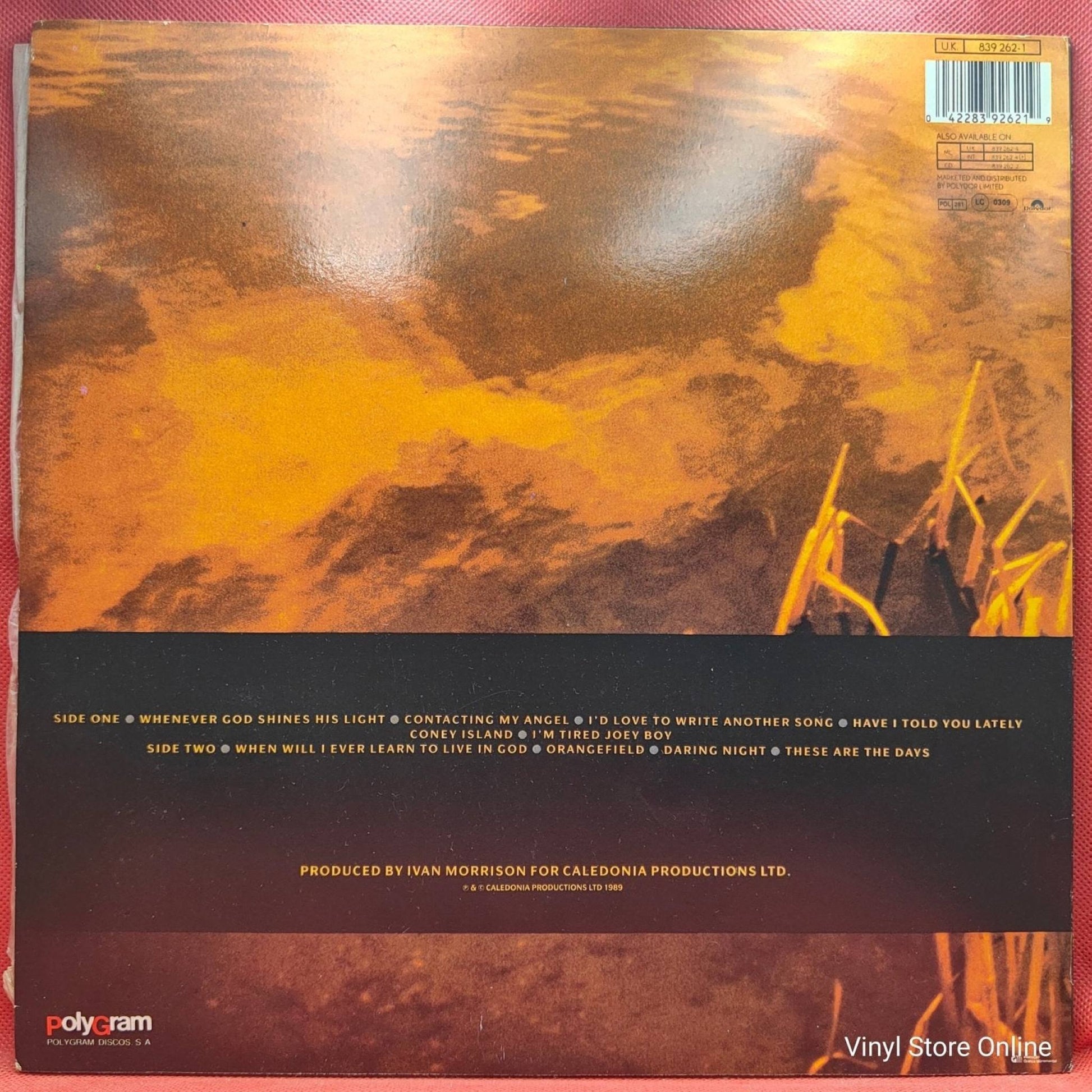 Van Morrison ‎– Avalon Sunset - Vinyl Store Online