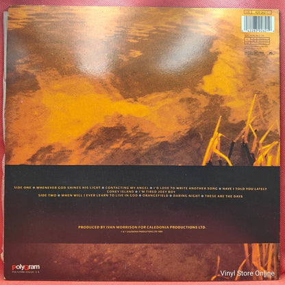 Van Morrison ‎– Avalon Sunset - Vinyl Store Online