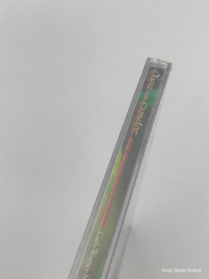 Various ‎– Quest For Camelot (Music From The Motion Picture) - Vinyl Store Online
