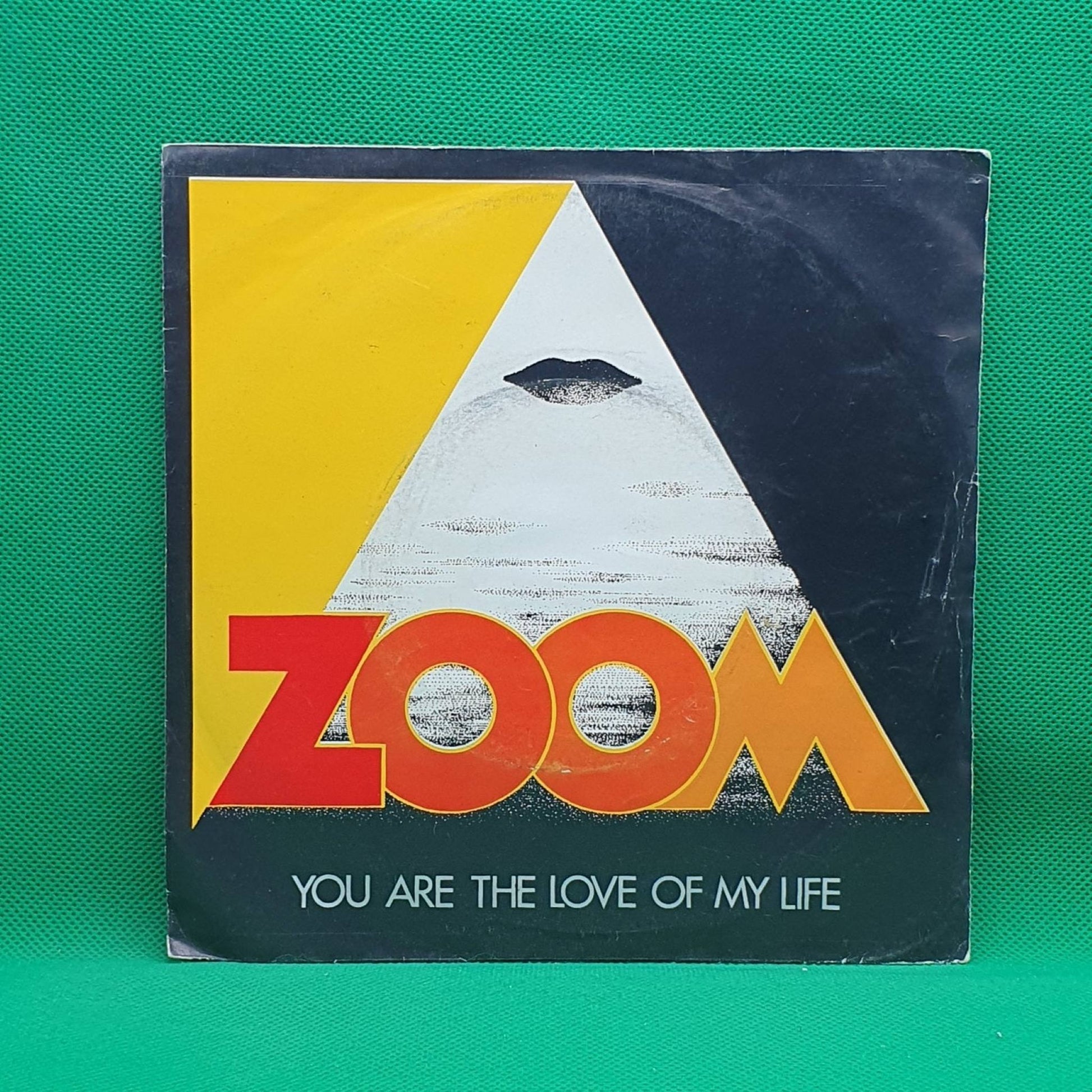 Zoom ‎– You Are The Love Of My Life - Vinyl Store Online